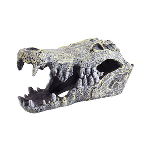 UnderWater Treasures Mini Croc Skull