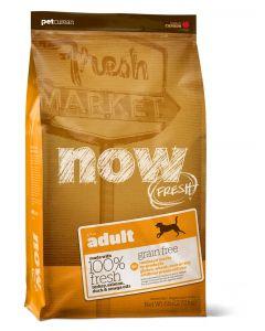 Now Dry Dog Food