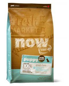 Now Dry Dog Food