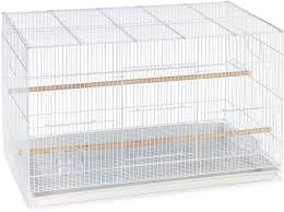 Pet Habitat